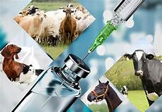Veterinary Medicines Manufacturers